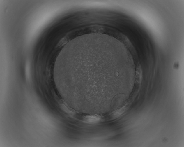 X0000090620765200707311243