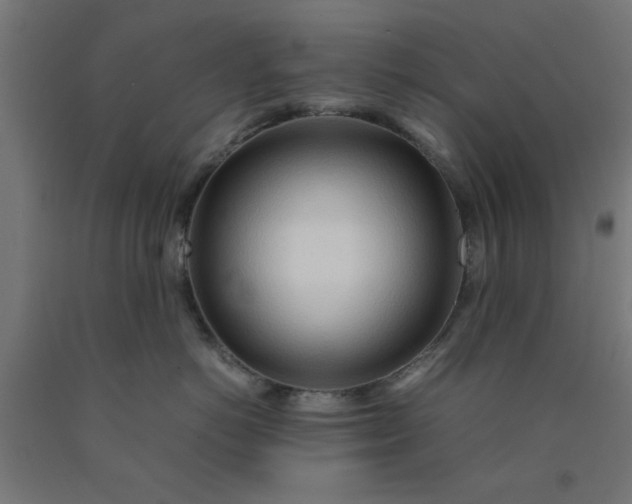 X0000090620766200707311243