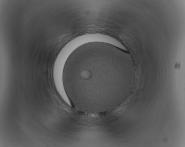 X0000090620768200707311244
