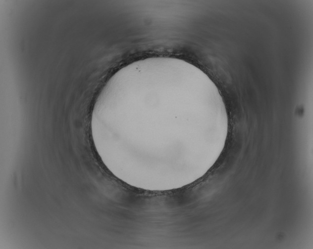 X0000090620769200707311243