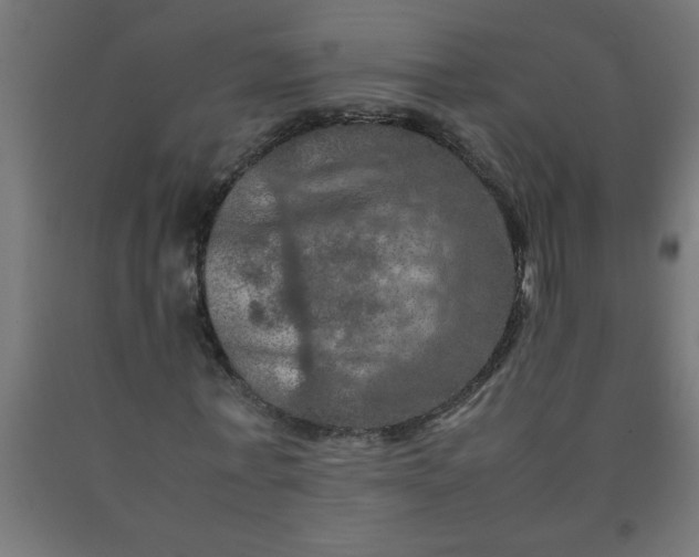 X0000090620771200707311243