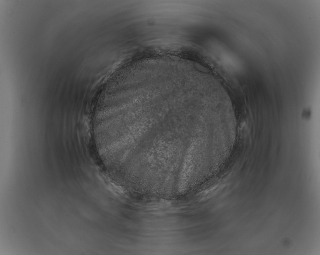 X0000090620772200707311243