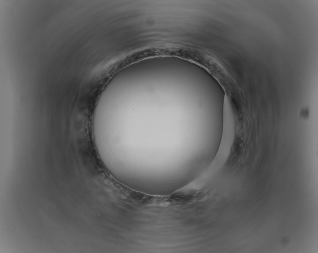 X0000090620773200707311243