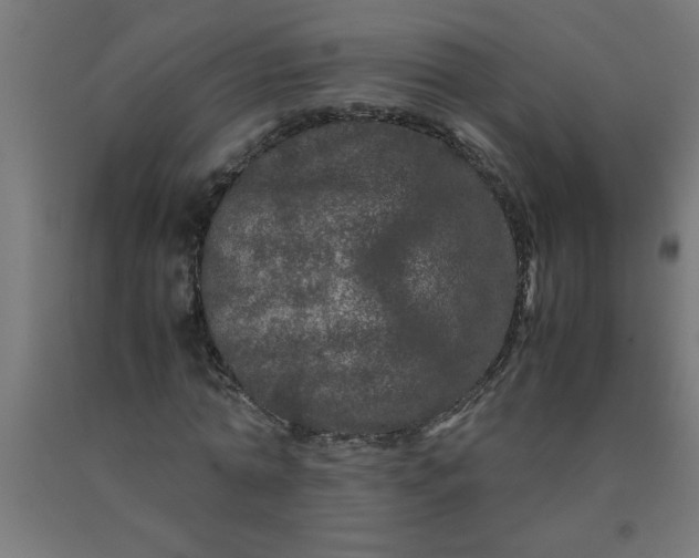 X0000090620774200707311243