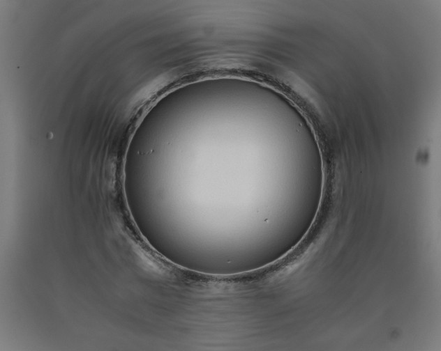 X0000090620777200707311243