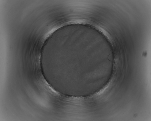 X0000090620778200707311243