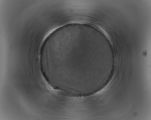 X0000090620779200707311243
