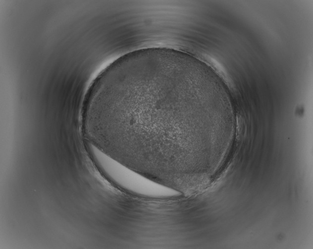 X0000090620780200707311243