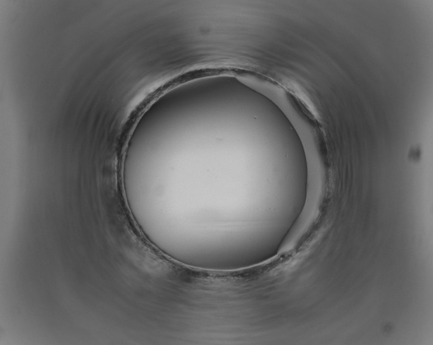 X0000090620781200707311243
