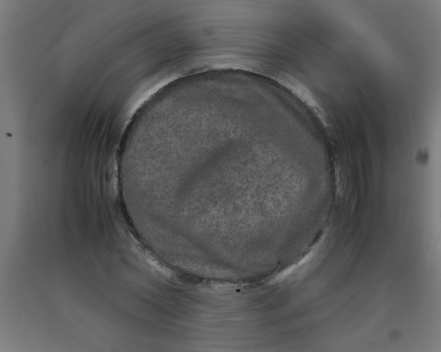 X0000090620782200707311243