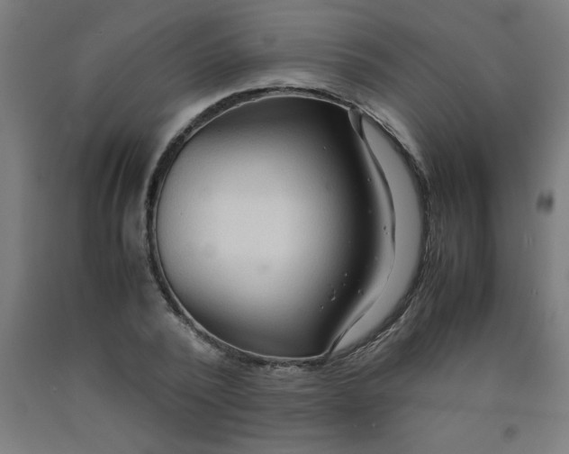 X0000090620784200707311243