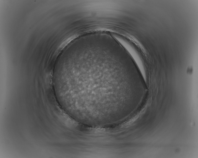 X0000090620785200707311243
