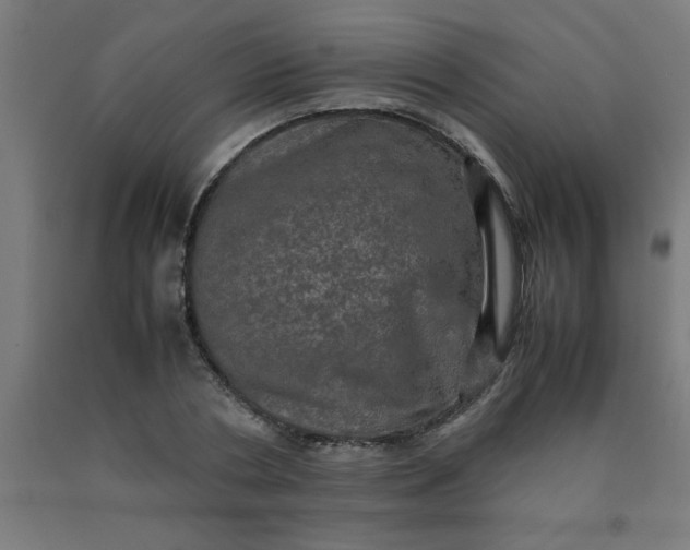 X0000090620786200707311243