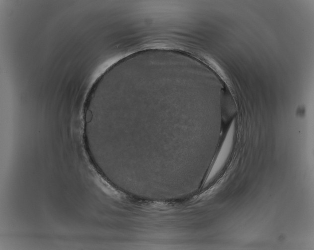 X0000090620787200707311243