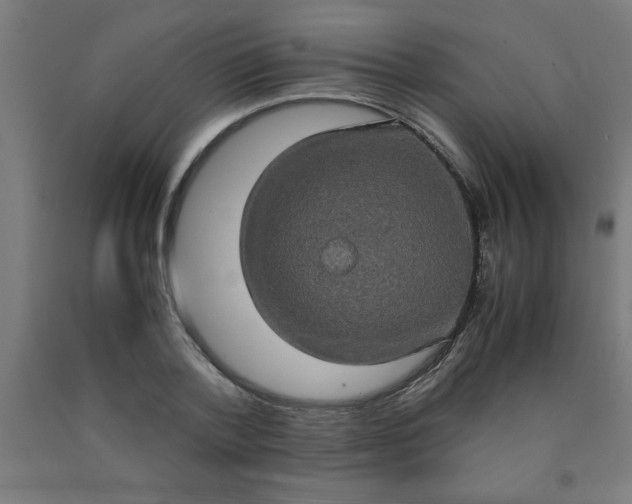 X0000090620788200707311243