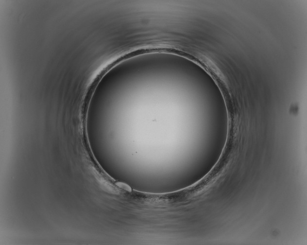 X0000090620789200707311243