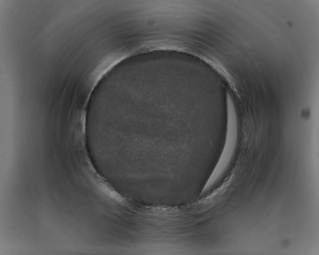 X0000090620790200707311243