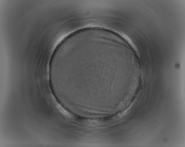 X0000090620791200707311243