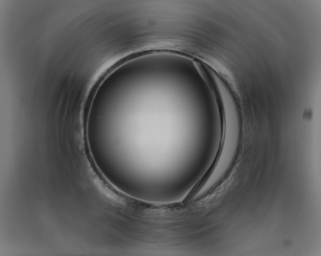 X0000090620792200707311243