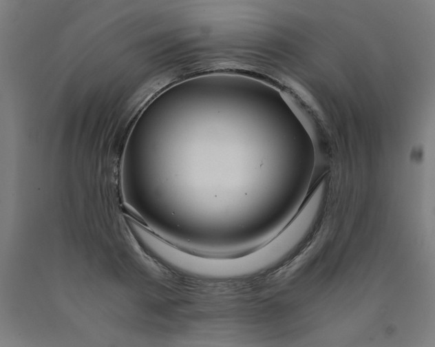 X0000090620793200707311243