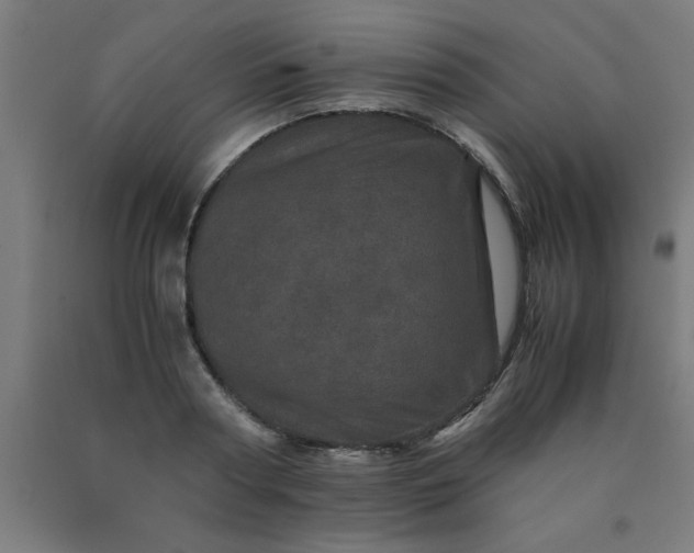 X0000090620794200707311243