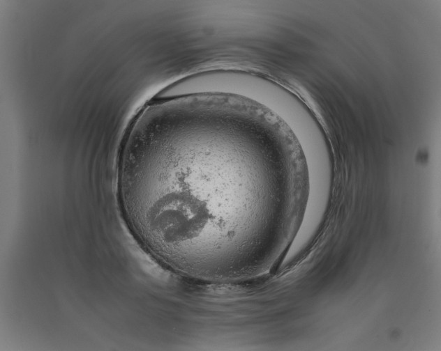 X0000090620795200707311243
