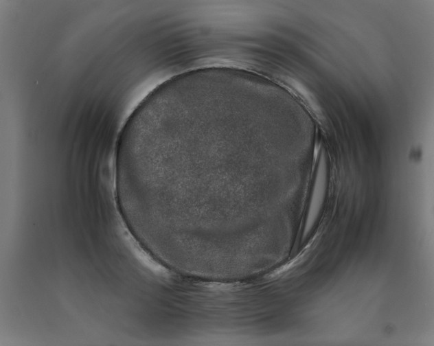 X0000090620796200707311243