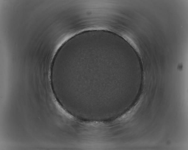 X0000090620797200707311243