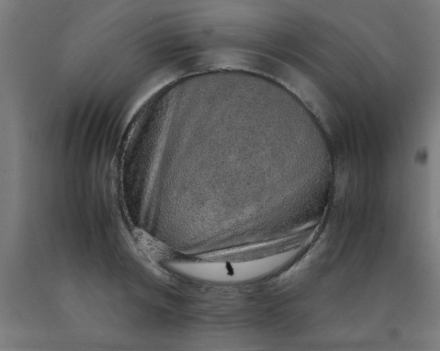 X0000090620798200707311243