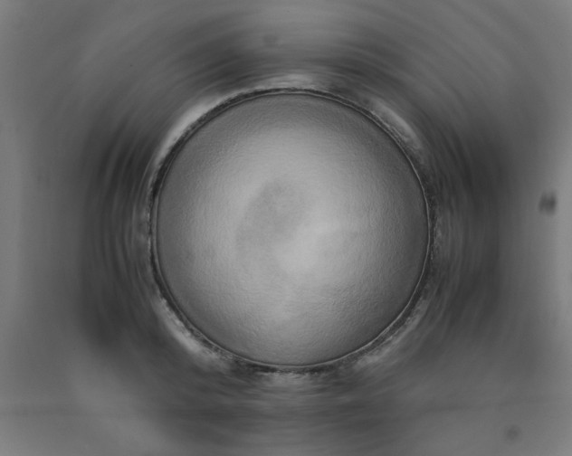X0000090620800200707311243