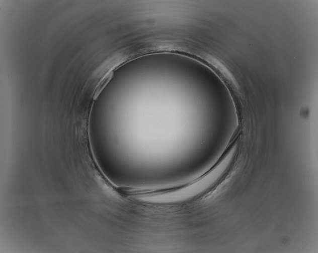 X0000090620801200707311243