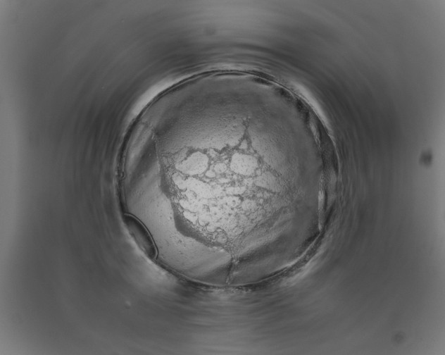 X0000090620803200707311242