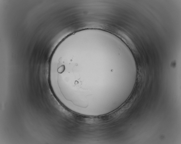 X0000090620804200707311242