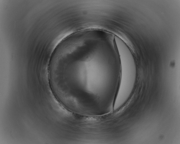 X0000090620806200707311242