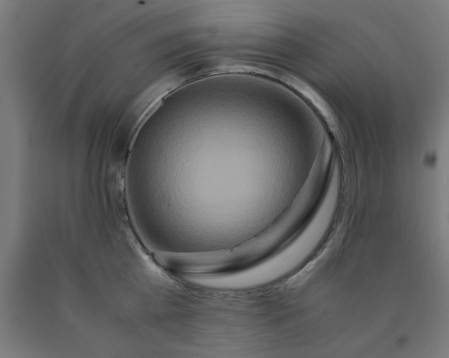 X0000090620809200707311242