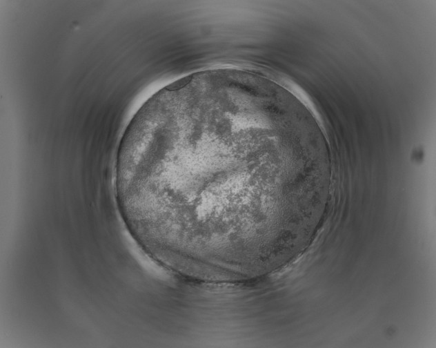 X0000090620811200707311242