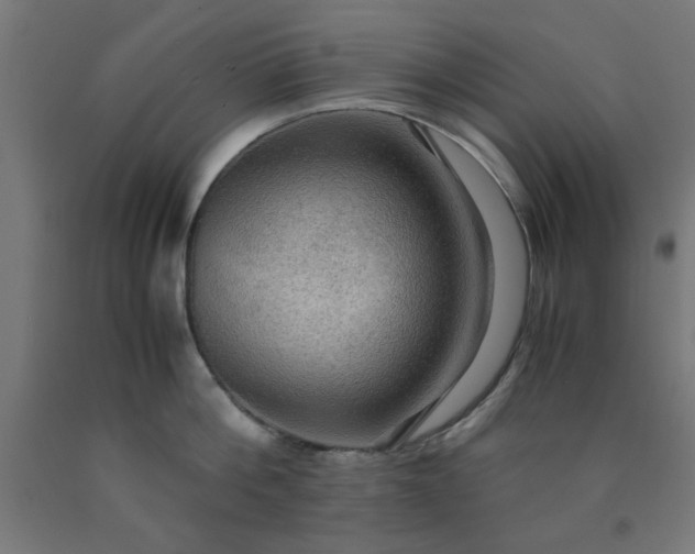 X0000090620812200707311242