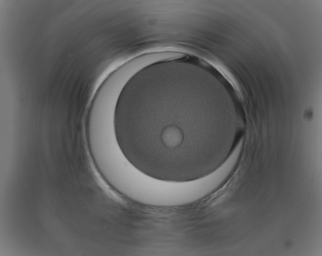 X0000090620813200707311242