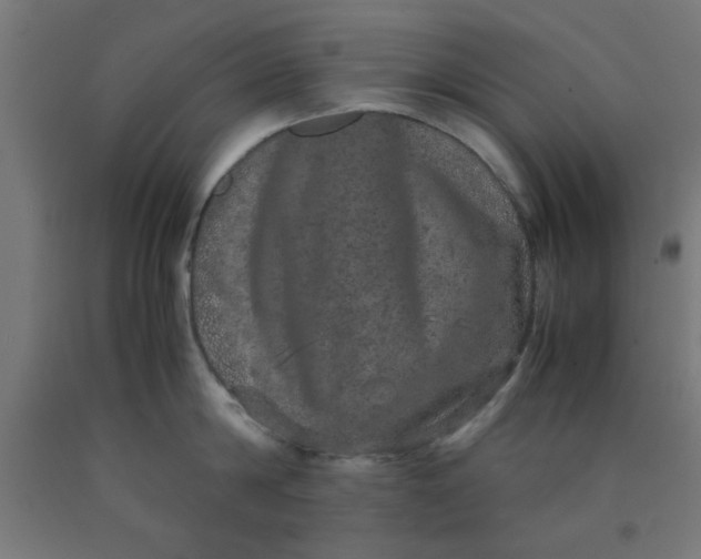 X0000090620814200707311242