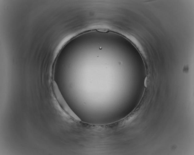 X0000090620815200707311242