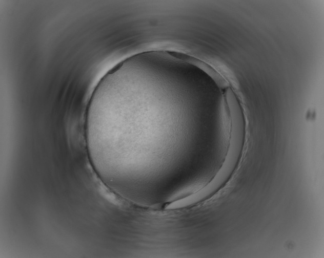 X0000090620816200707311242
