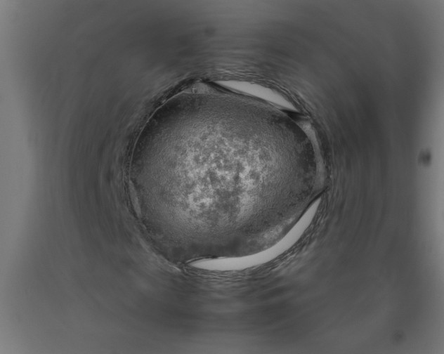X0000090620817200707311242