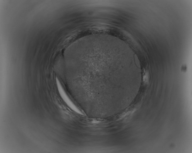 X0000090620819200707311242