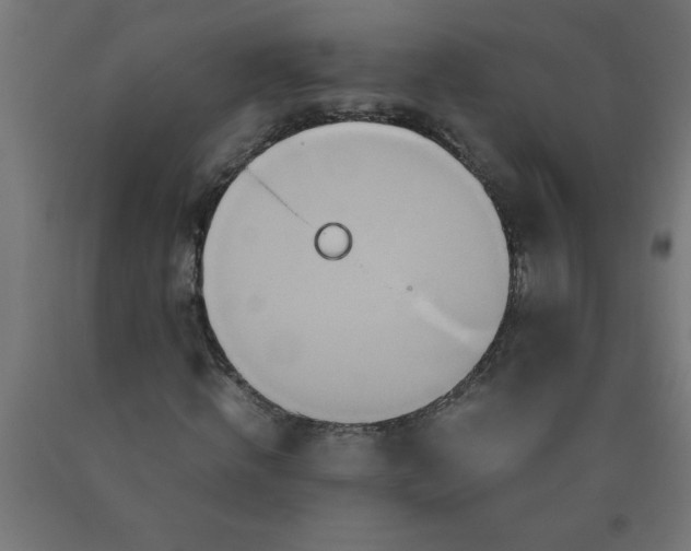X0000090620820200707311242