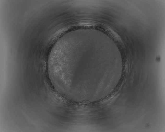 X0000090620821200707311242