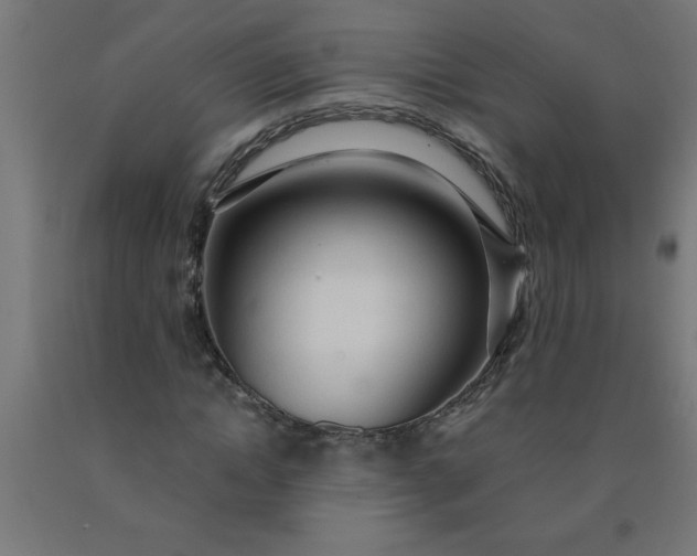 X0000090620822200707311242