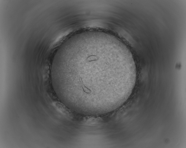 X0000090620824200707311242