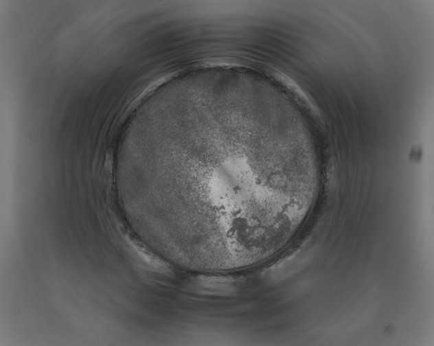 X0000090620825200707311242