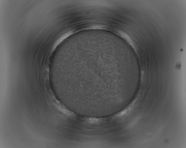 X0000090620827200707311242