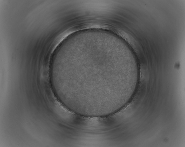 X0000090620828200707311242